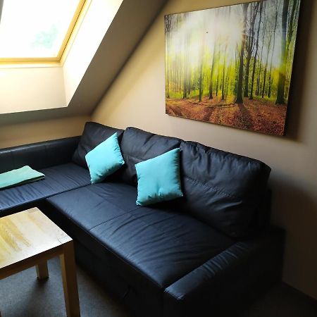 Appartement Podkrovni Apartman V Prirode, Vhodny K Relaxaci I Na Sluzebni Cesty à Cerna u Bohdance Extérieur photo