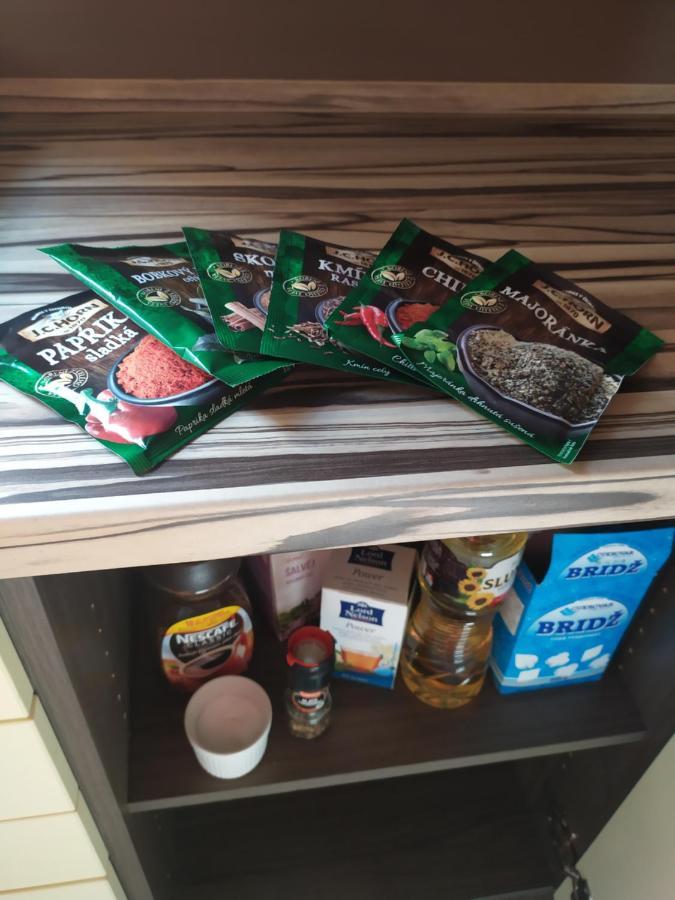 Appartement Podkrovni Apartman V Prirode, Vhodny K Relaxaci I Na Sluzebni Cesty à Cerna u Bohdance Extérieur photo