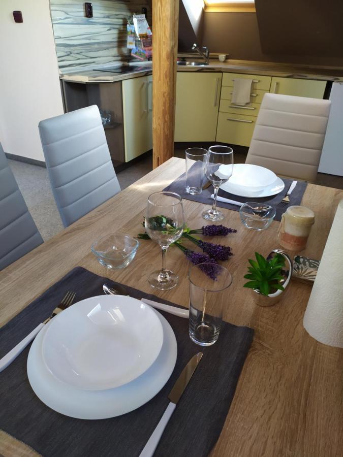 Appartement Podkrovni Apartman V Prirode, Vhodny K Relaxaci I Na Sluzebni Cesty à Cerna u Bohdance Extérieur photo
