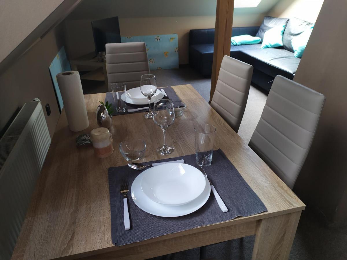 Appartement Podkrovni Apartman V Prirode, Vhodny K Relaxaci I Na Sluzebni Cesty à Cerna u Bohdance Extérieur photo