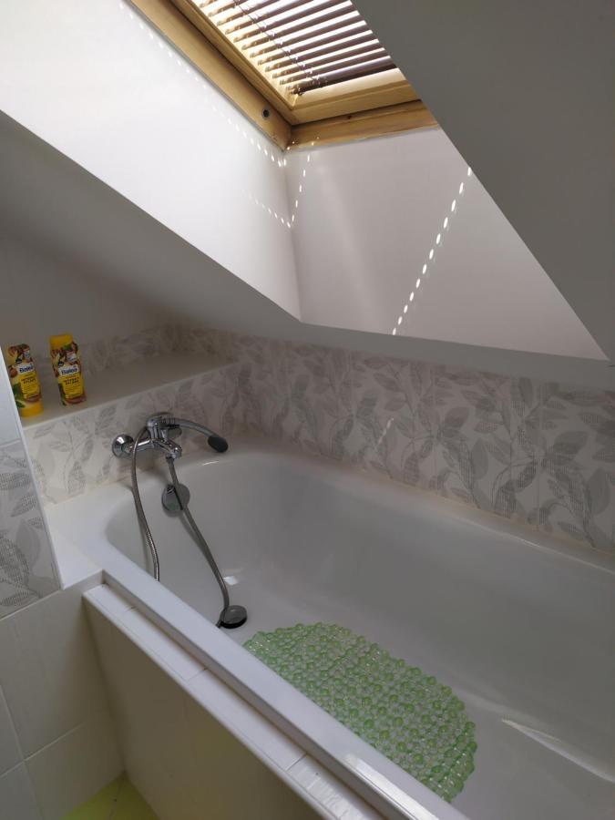 Appartement Podkrovni Apartman V Prirode, Vhodny K Relaxaci I Na Sluzebni Cesty à Cerna u Bohdance Extérieur photo