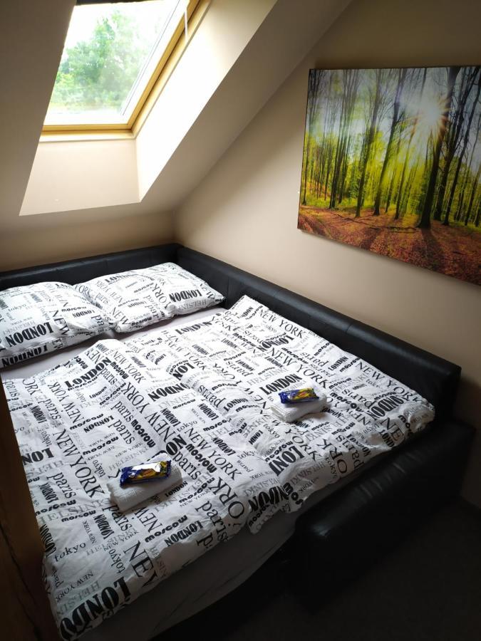 Appartement Podkrovni Apartman V Prirode, Vhodny K Relaxaci I Na Sluzebni Cesty à Cerna u Bohdance Extérieur photo