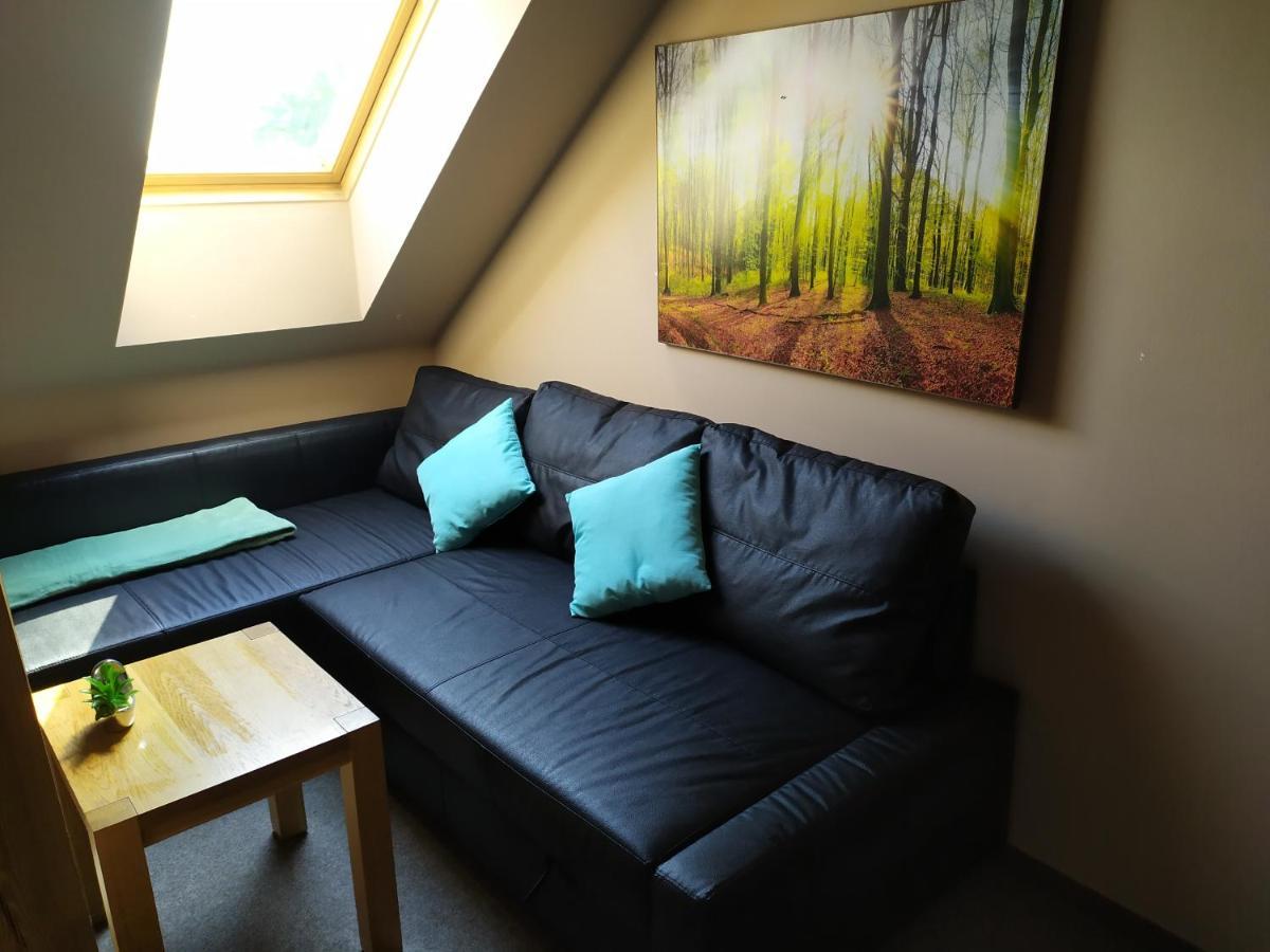 Appartement Podkrovni Apartman V Prirode, Vhodny K Relaxaci I Na Sluzebni Cesty à Cerna u Bohdance Extérieur photo