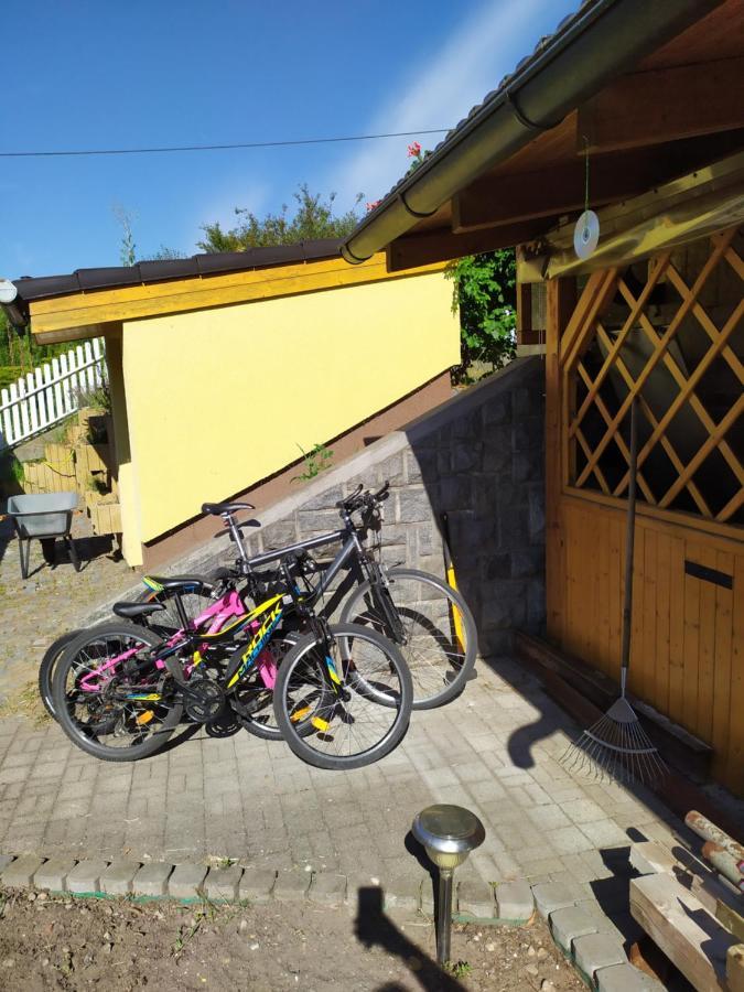 Appartement Podkrovni Apartman V Prirode, Vhodny K Relaxaci I Na Sluzebni Cesty à Cerna u Bohdance Extérieur photo