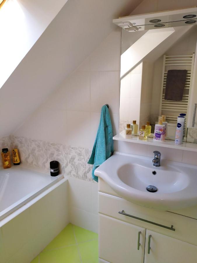 Appartement Podkrovni Apartman V Prirode, Vhodny K Relaxaci I Na Sluzebni Cesty à Cerna u Bohdance Extérieur photo
