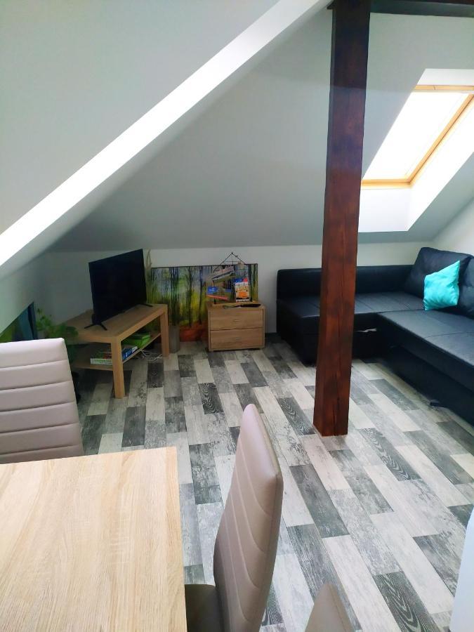 Appartement Podkrovni Apartman V Prirode, Vhodny K Relaxaci I Na Sluzebni Cesty à Cerna u Bohdance Extérieur photo