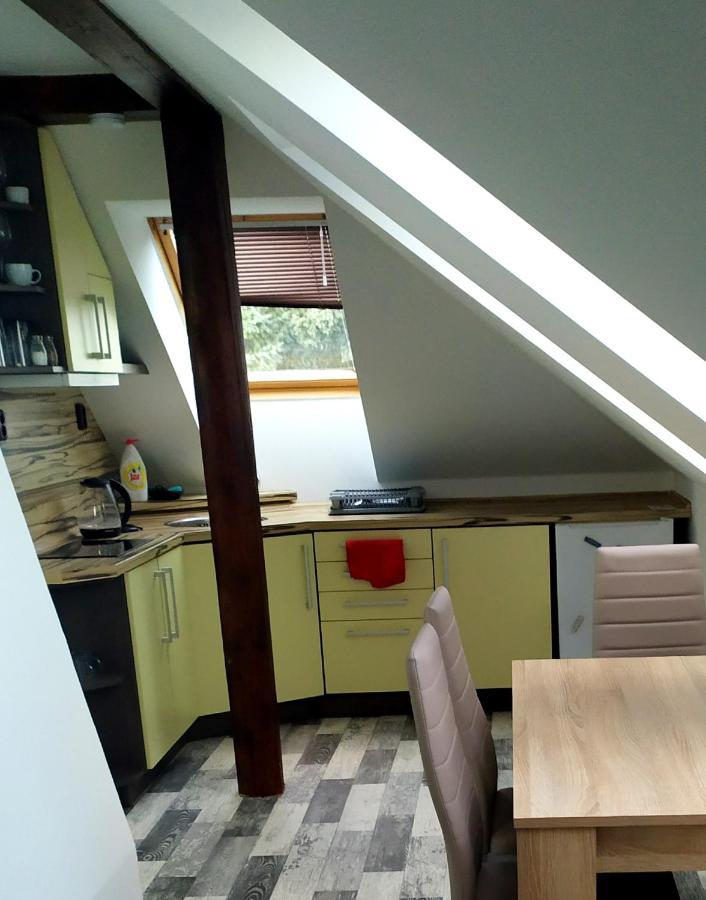 Appartement Podkrovni Apartman V Prirode, Vhodny K Relaxaci I Na Sluzebni Cesty à Cerna u Bohdance Extérieur photo